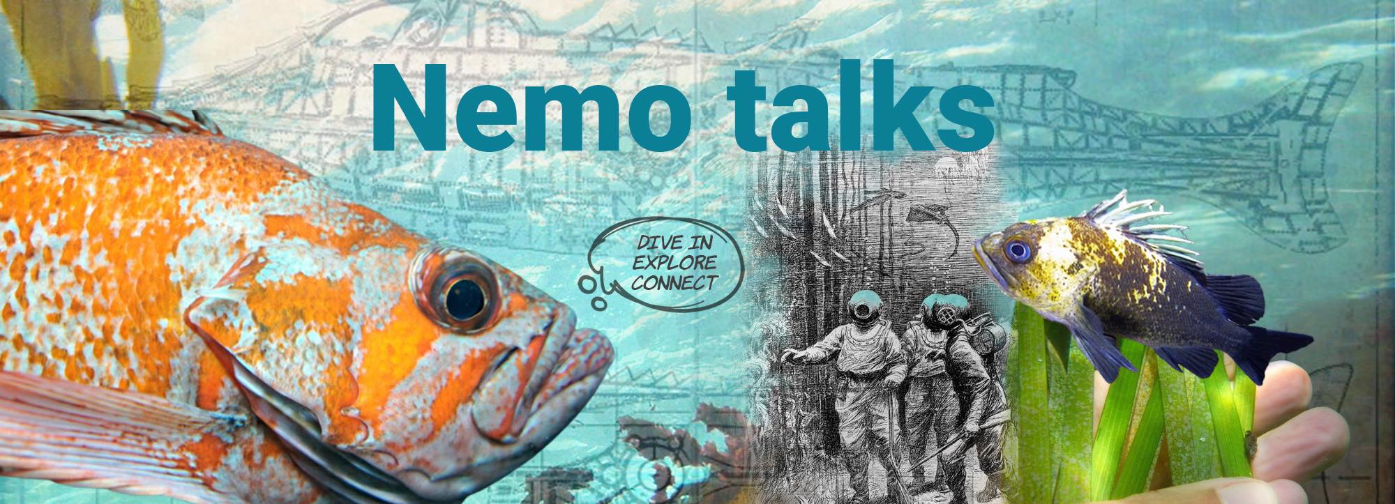 NEMO-banner-final copy